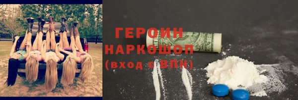 индика Нягань