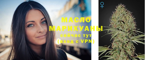 соль ск Няндома