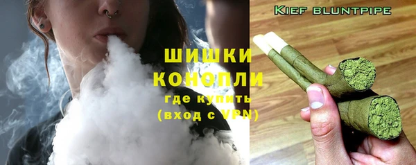 шишки Нязепетровск