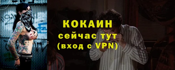 шишки Нязепетровск