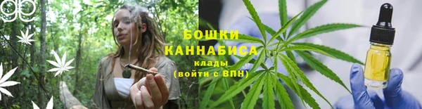 шишки Нязепетровск