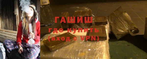 индика Нягань