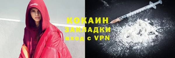 индика Нягань