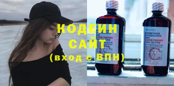 индика Нягань