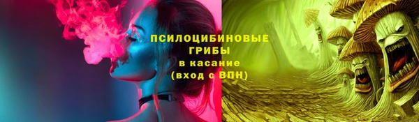 соль ск Няндома