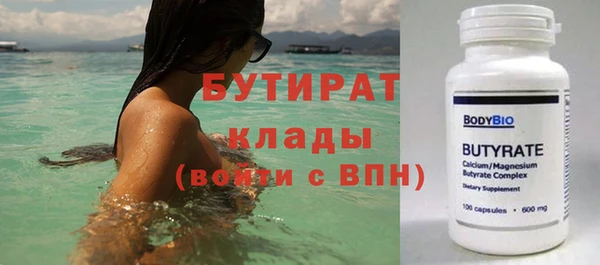 индика Нягань