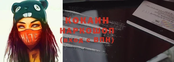 соль ск Няндома