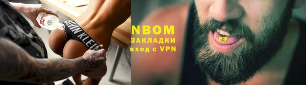 индика Нягань
