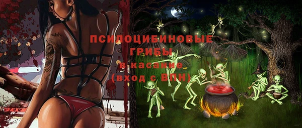 шишки Нязепетровск