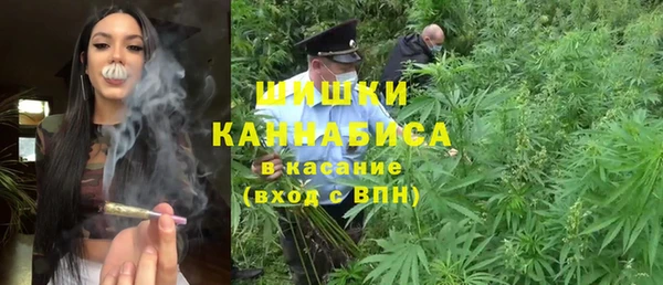 шишки Нязепетровск