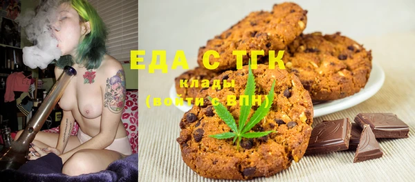 индика Нягань