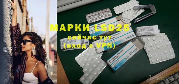 индика Нягань