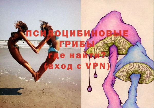 индика Нягань