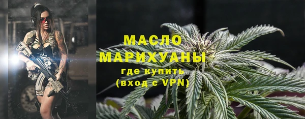 соль ск Няндома