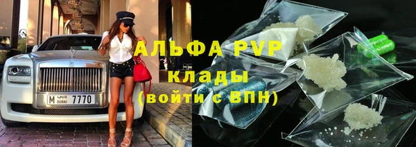 индика Нягань