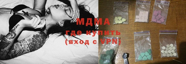 индика Нягань