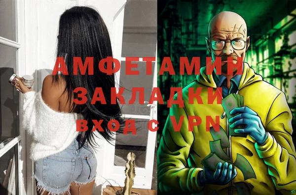индика Нягань