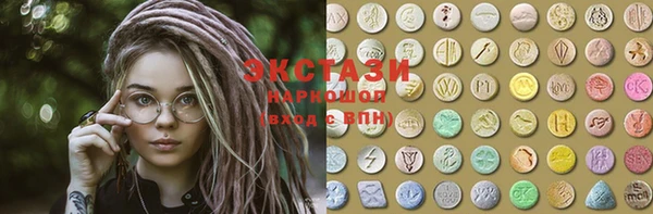 индика Нягань
