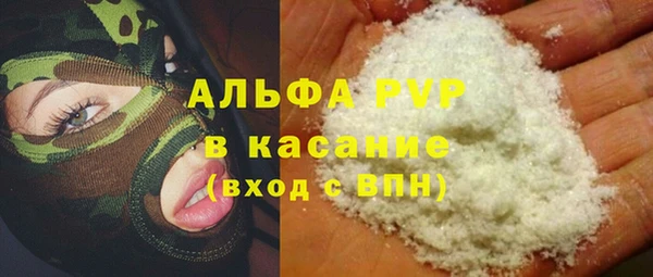 индика Нягань