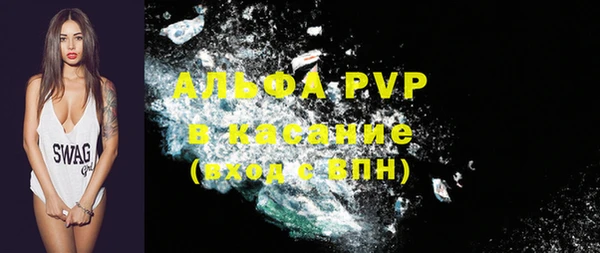 индика Нягань