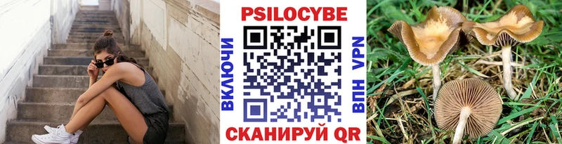 МЕГА ссылка  Нахабино  Галлюциногенные грибы MAGIC MUSHROOMS  закладки 